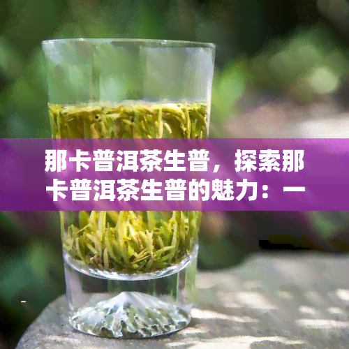 那卡普洱茶生普，探索那卡普洱茶生普的魅力：一种独特的云南茶叶体验