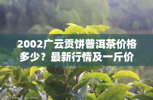 2002广云贡饼普洱茶价格多少？最新行情及一斤价一览