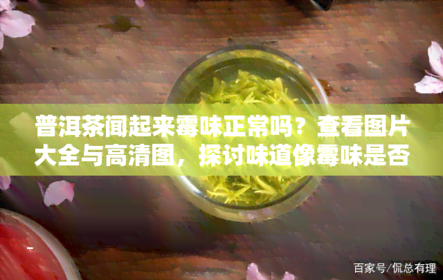 普洱茶闻起来霉味正常吗？查看图片大全与高清图，探讨味道像霉味是否代表坏了