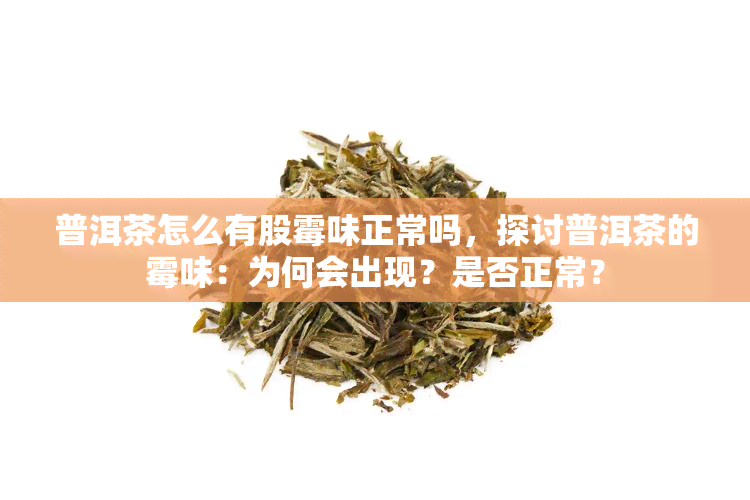 普洱茶怎么有股霉味正常吗，探讨普洱茶的霉味：为何会出现？是否正常？