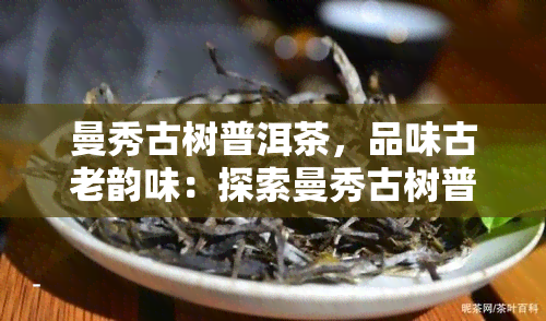 曼秀古树普洱茶，品味古老韵味：探索曼秀古树普洱茶的世界