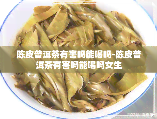 陈皮普洱茶有害吗能喝吗-陈皮普洱茶有害吗能喝吗女生