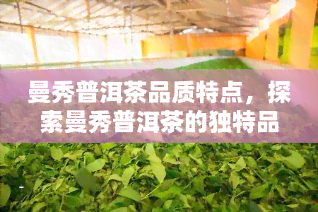 曼秀普洱茶品质特点，探索曼秀普洱茶的独特品质特点