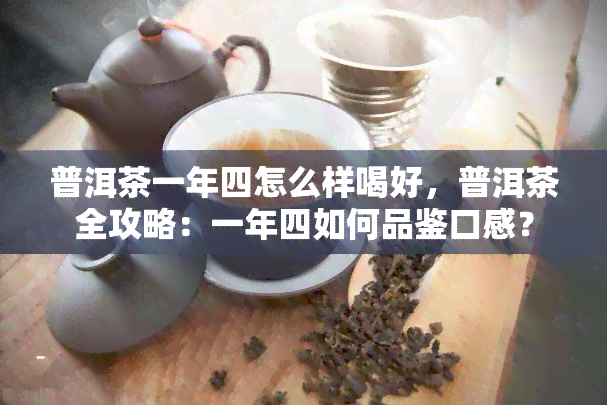 普洱茶一年四怎么样喝好，普洱茶全攻略：一年四如何品鉴口感？