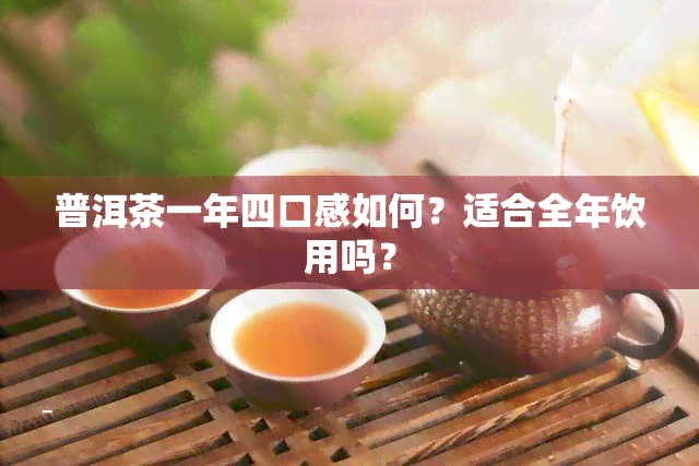 普洱茶一年四口感如何？适合全年饮用吗？