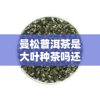 曼松普洱茶是大叶种茶吗还是小叶，曼松普洱茶：大叶种还是小叶种？