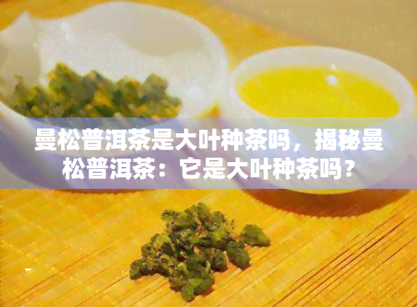 曼松普洱茶是大叶种茶吗，揭秘曼松普洱茶：它是大叶种茶吗？