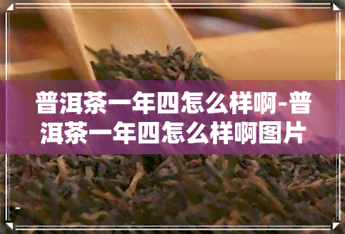 普洱茶一年四怎么样啊-普洱茶一年四怎么样啊图片