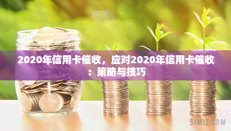 2020年信用卡，应对2020年信用卡：策略与技巧