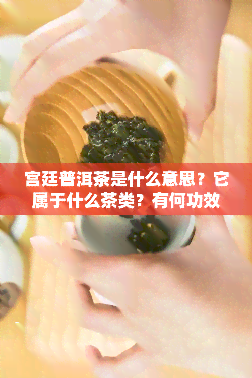 宫廷普洱茶是什么意思？它属于什么茶类？有何功效与作用？其品质特征如何评价？