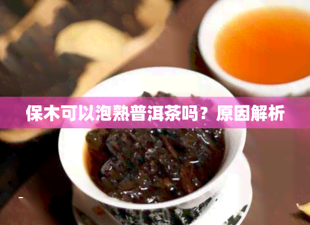 保木可以泡熟普洱茶吗？原因解析