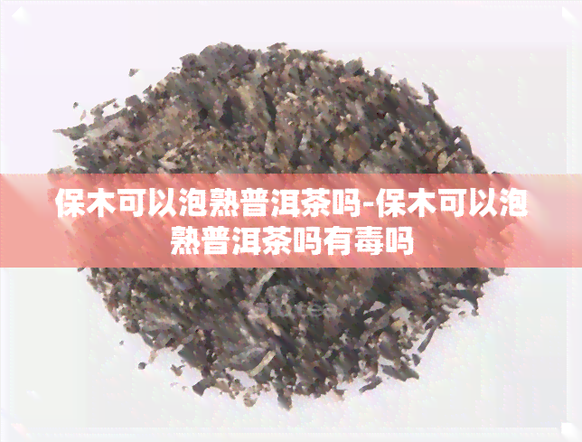 保木可以泡熟普洱茶吗-保木可以泡熟普洱茶吗有吗