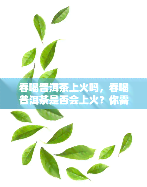 春喝普洱茶上火吗，春喝普洱茶是否会上火？你需要知道的答案