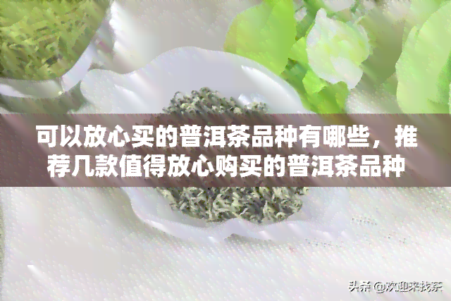 可以放心买的普洱茶品种有哪些，推荐几款值得放心购买的普洱茶品种