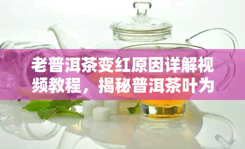 老普洱茶变红原因详解视频教程，揭秘普洱茶叶为何变红