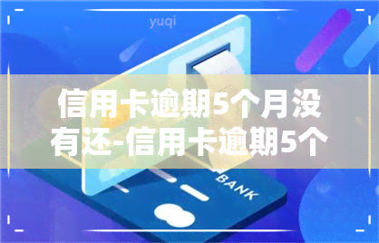 信用卡逾期5个月没有还-信用卡逾期5个月没有还会怎样