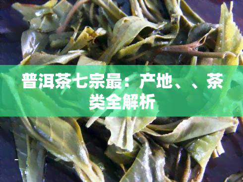 普洱茶七宗最：产地、、茶类全解析