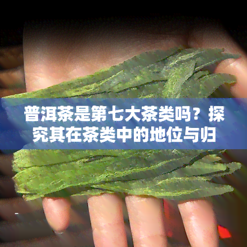 普洱茶是第七大茶类吗？探究其在茶类中的地位与归属