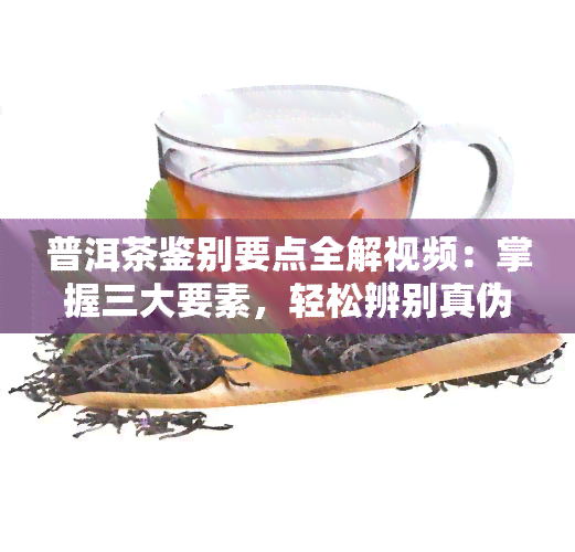 普洱茶鉴别要点全解视频：掌握三大要素，轻松辨别真伪