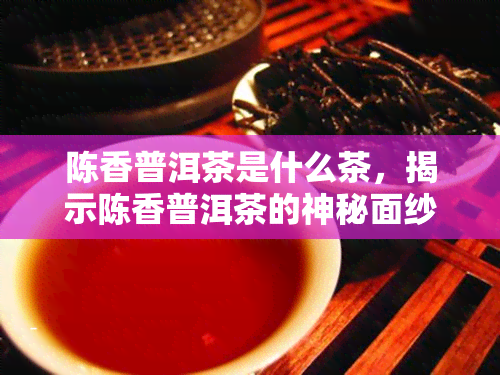 陈香普洱茶是什么茶，揭示陈香普洱茶的神秘面纱：它到底属于哪一类茶？