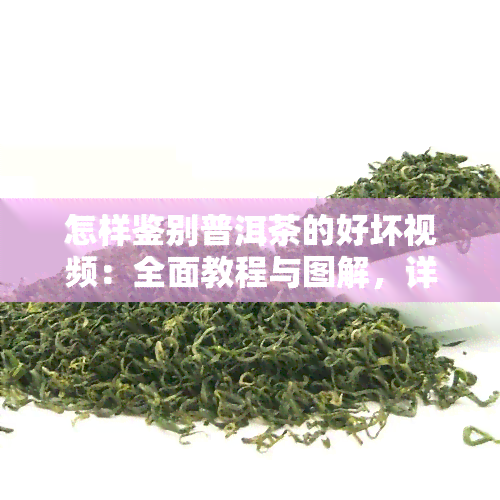 怎样鉴别普洱茶的好坏视频：全面教程与图解，详解茶叶品质及品质鉴定方法