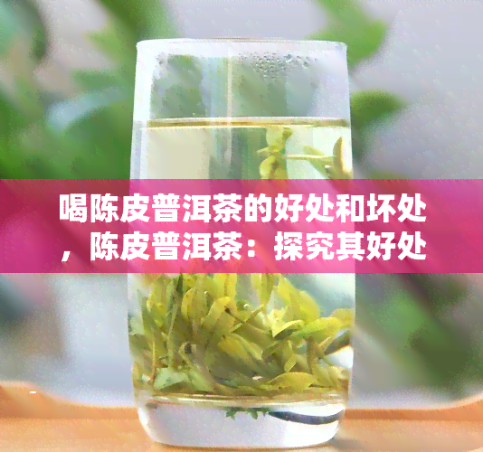 喝陈皮普洱茶的好处和坏处，陈皮普洱茶：探究其好处与潜在风险