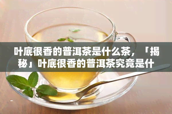 叶底很香的普洱茶是什么茶，「揭秘」叶底很香的普洱茶究竟是什么茶？