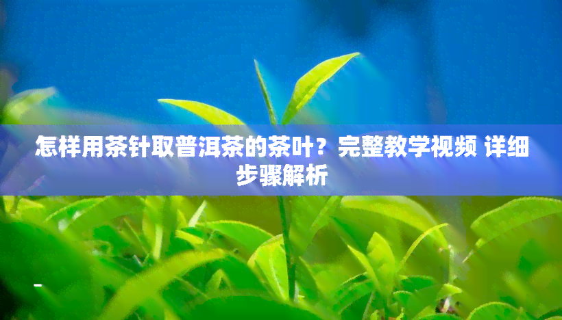 怎样用茶针取普洱茶的茶叶？完整教学视频 详细步骤解析