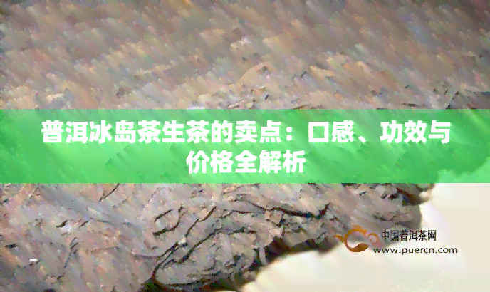 普洱冰岛茶生茶的卖点：口感、功效与价格全解析