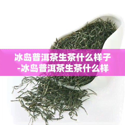 冰岛普洱茶生茶什么样子-冰岛普洱茶生茶什么样子的好