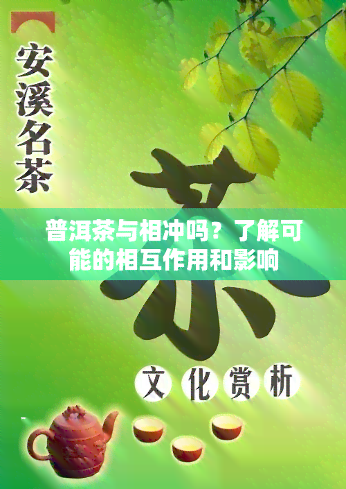 普洱茶与相冲吗？了解可能的相互作用和影响