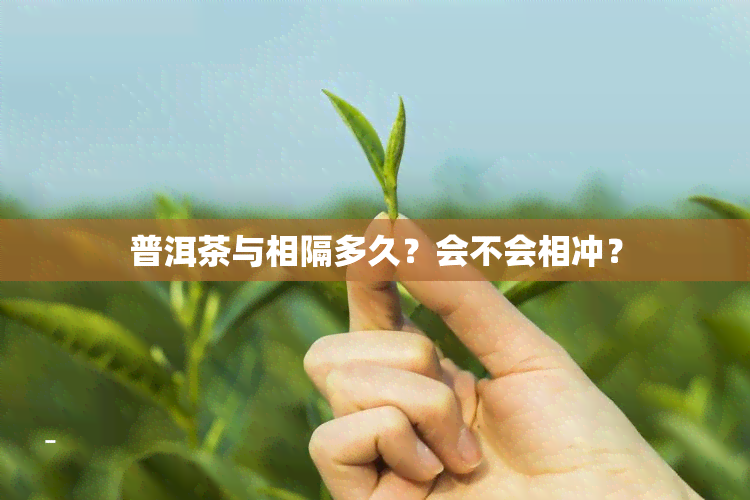 普洱茶与相隔多久？会不会相冲？