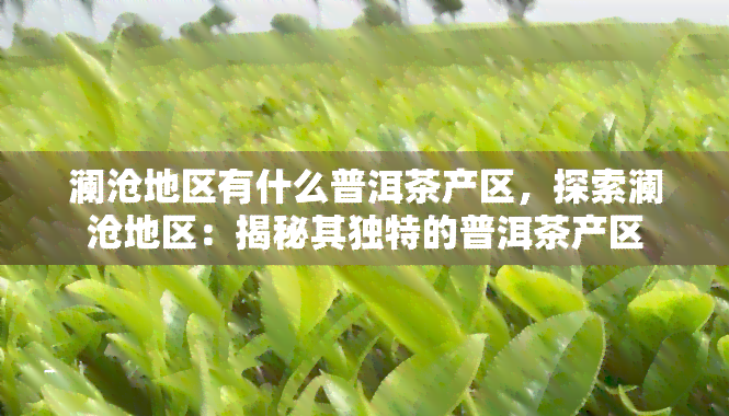 澜沧地区有什么普洱茶产区，探索澜沧地区：揭秘其独特的普洱茶产区