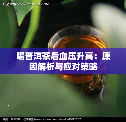 喝普洱茶后血压升高：原因解析与应对策略