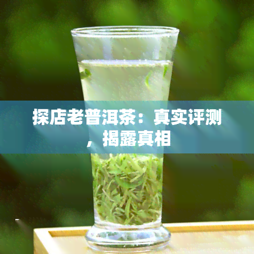 探店老普洱茶：真实评测，揭露真相