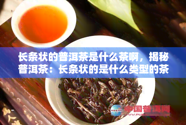 长条状的普洱茶是什么茶啊，揭秘普洱茶：长条状的是什么类型的茶叶？