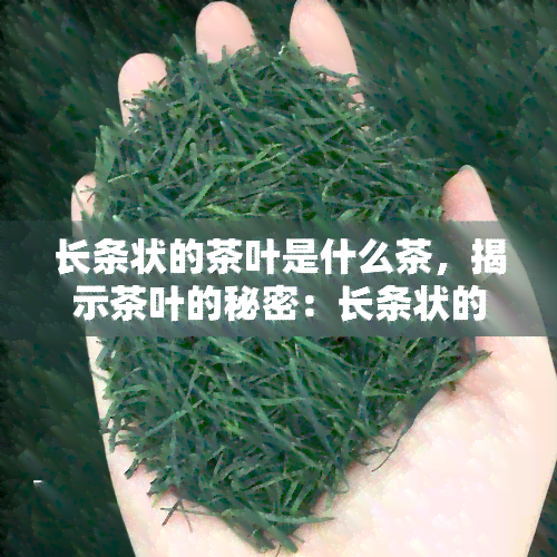 长条状的茶叶是什么茶，揭示茶叶的秘密：长条状的是什么茶？