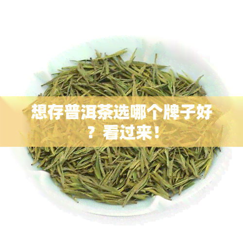 想存普洱茶选哪个牌子好？看过来！