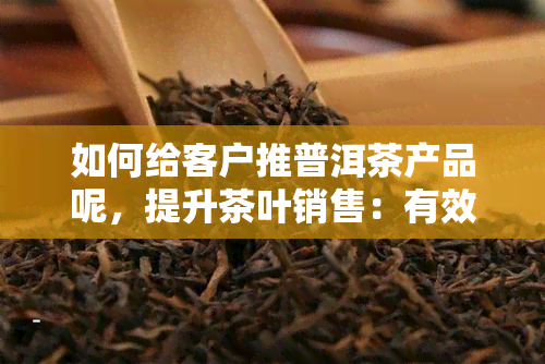 如何给客户推普洱茶产品呢，提升茶叶销售：有效推广普洱茶产品的策略与技巧