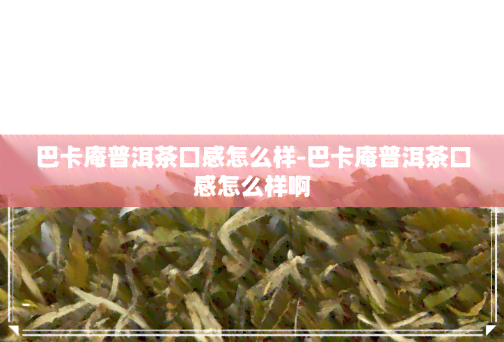 巴卡庵普洱茶口感怎么样-巴卡庵普洱茶口感怎么样啊