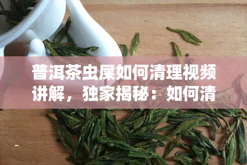 普洱茶虫屎如何清理视频讲解，独家揭秘：如何清理普洱茶中的虫屎？看视频就知道！