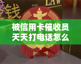 被信用卡员天天打电话怎么办，应对信用卡员的：天天电话怎么处理？