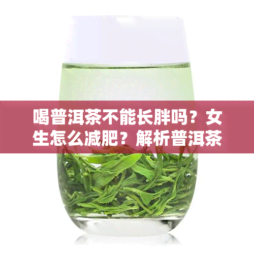 喝普洱茶不能长胖吗？女生怎么减肥？解析普洱茶对体重的影响