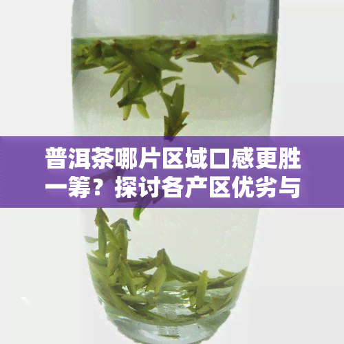 普洱茶哪片区域口感更胜一筹？探讨各产区优劣与特点