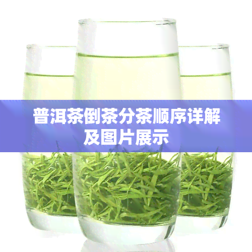 普洱茶倒茶分茶顺序详解及图片展示