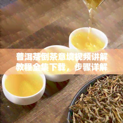 普洱茶倒茶意境视频讲解教程全集下载，步骤详解