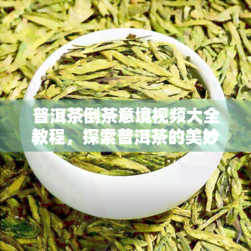 普洱茶倒茶意境视频大全教程，探索普洱茶的美妙倒茶意境：完整视频教程大公开！