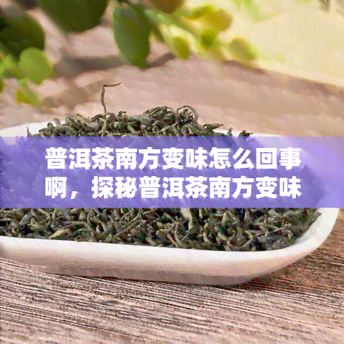 普洱茶南方变味怎么回事啊，探秘普洱茶南方变味的原因是什么？