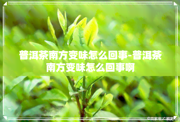 普洱茶南方变味怎么回事-普洱茶南方变味怎么回事啊