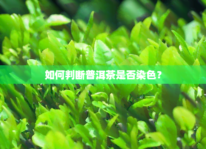 如何判断普洱茶是否染色？